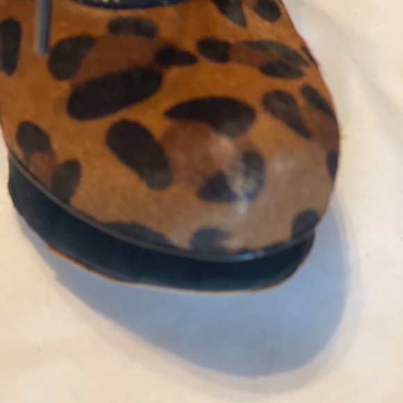 Super Sexy Sam Edelman leopard print booties - Picture 6 of 7
